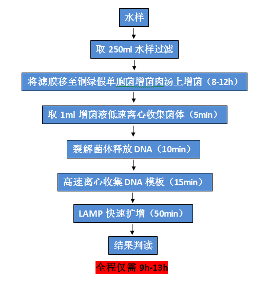 銅綠假單胞菌檢測(cè)試劑盒