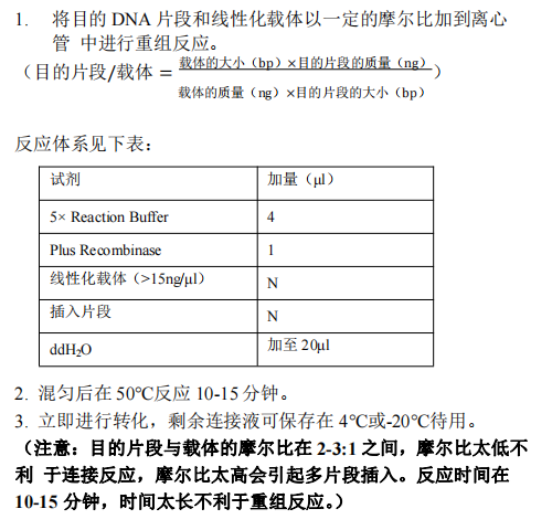 B 目的片段與載體的重組