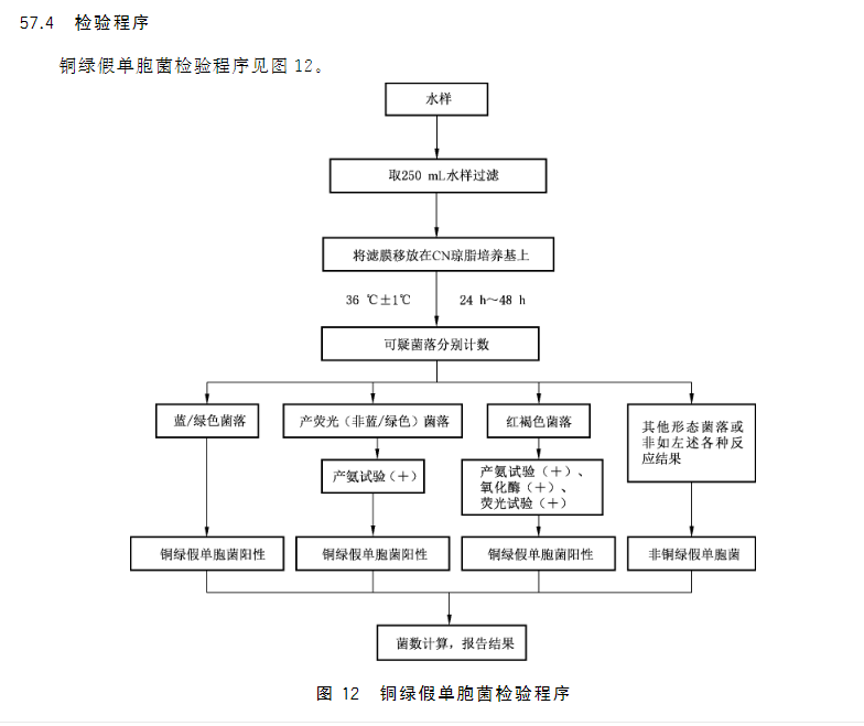 銅綠假單胞菌檢驗流程