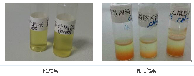 將產(chǎn)熒光的菌落的純培養(yǎng)物接種到乙酰胺肉湯中36℃培養(yǎng)24h，加入鈉氏試劑