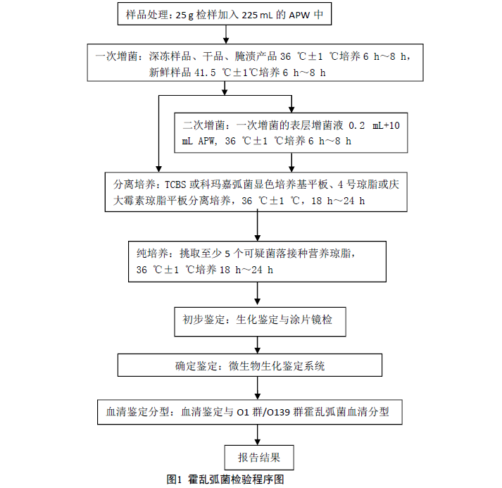 霍亂弧菌檢測流程