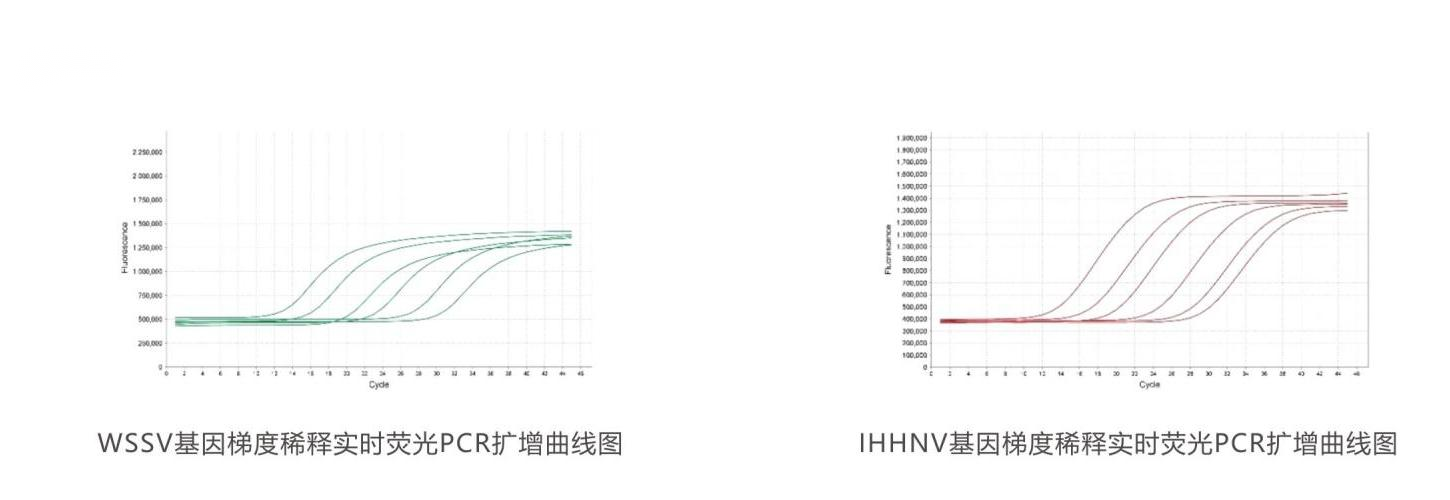 實(shí)時(shí)熒光PCR檢測試劑盒結(jié)果判讀