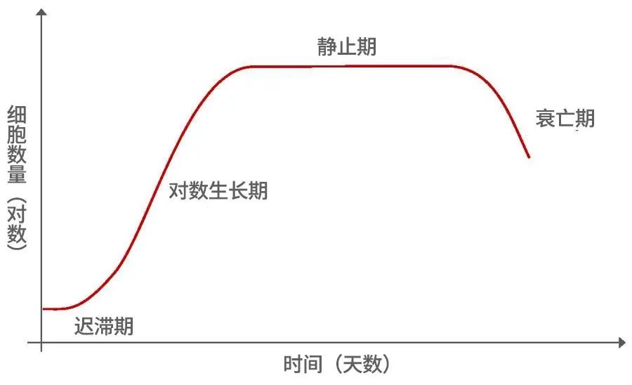 細(xì)胞生長(zhǎng)時(shí)間曲線圖