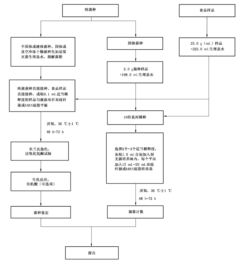 雙歧桿菌檢測(cè)程序
