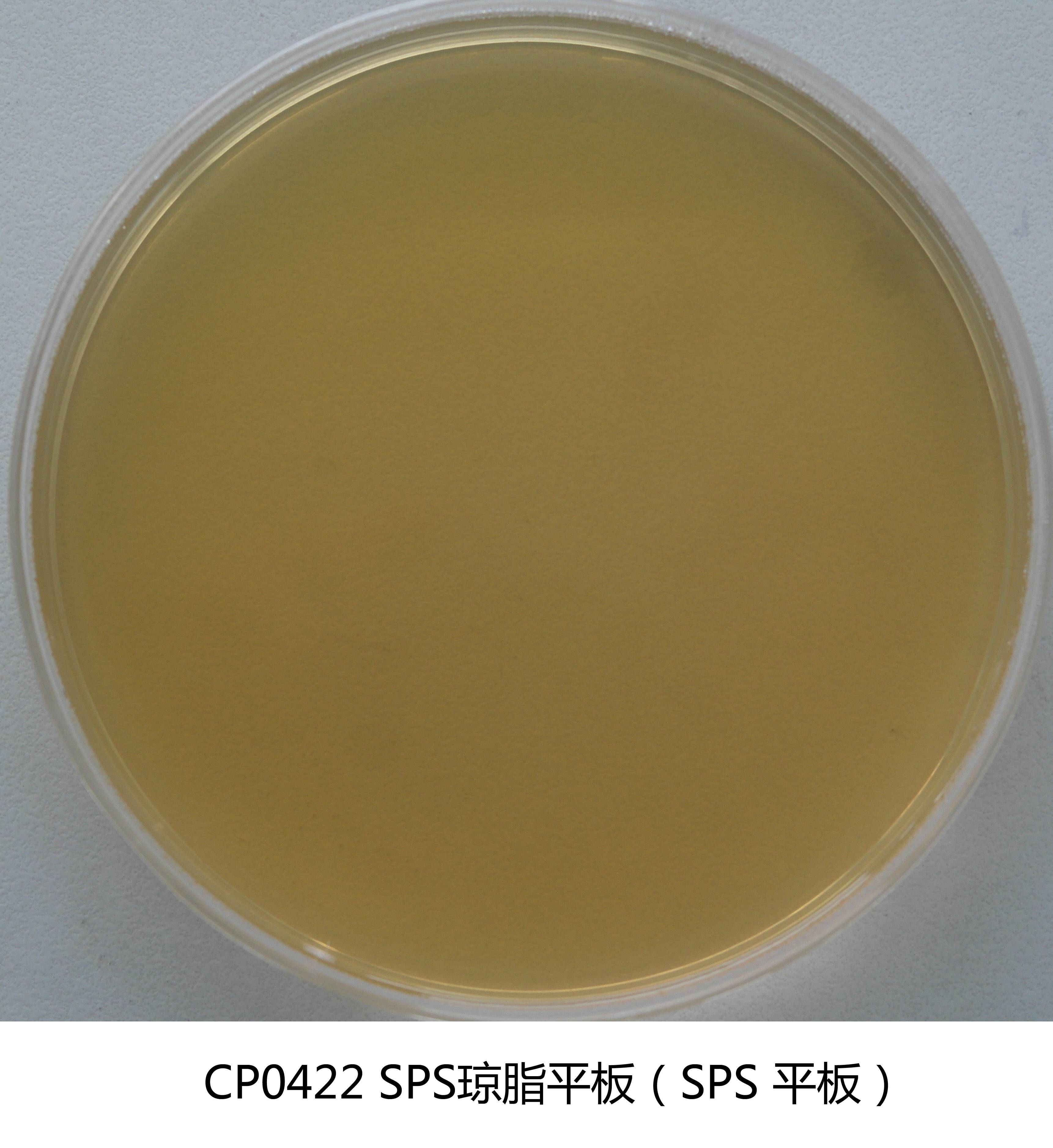 SPS瓊脂平板培養(yǎng)基(亞硫酸鹽-多粘菌素-磺胺嘧啶瓊脂) 90mm×20個(gè)