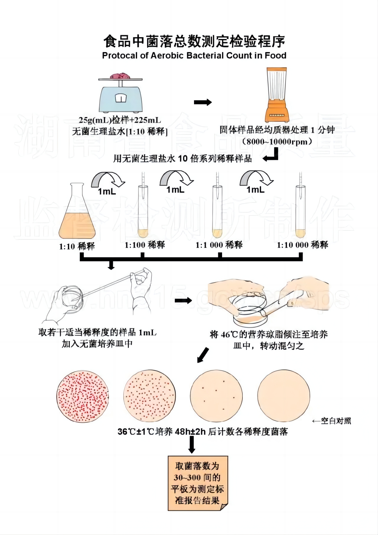 菌落總數(shù)檢測程序