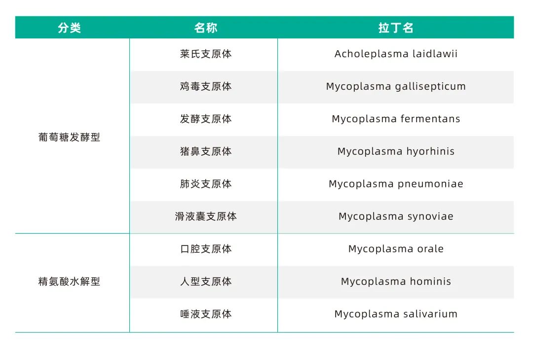 支原體培養(yǎng)基分類