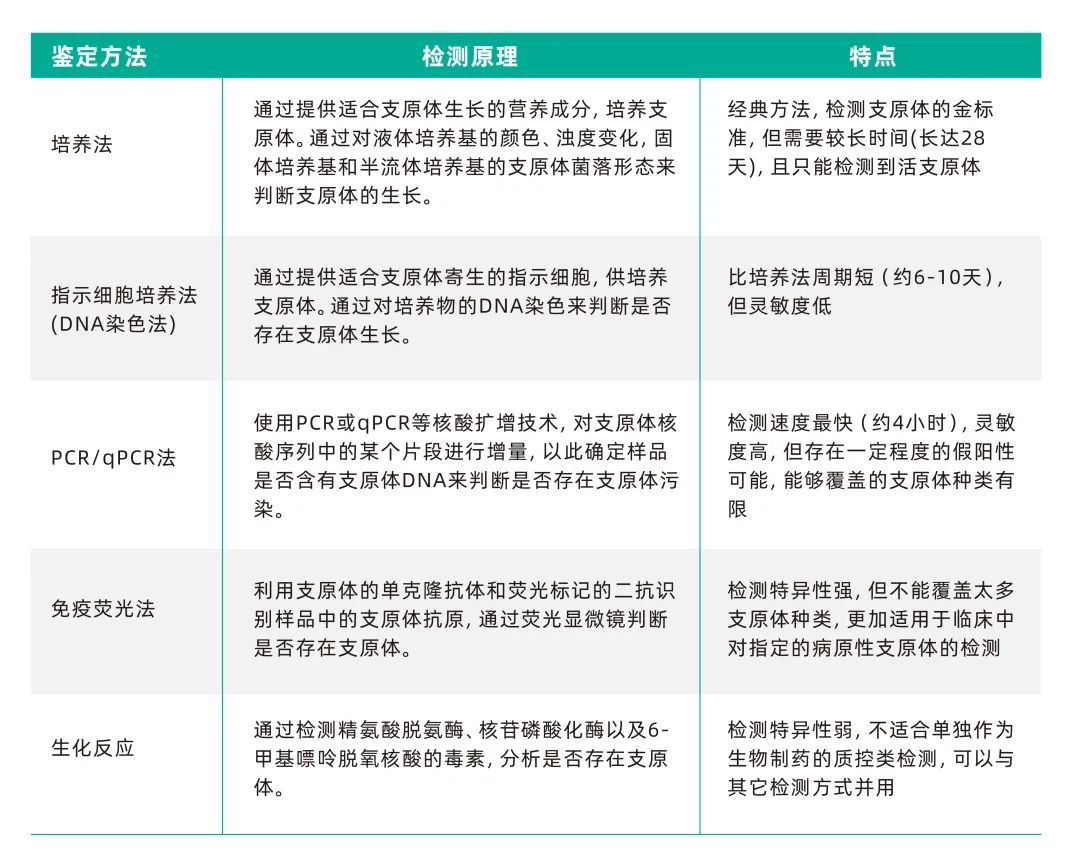 常見的支原體檢測方法
