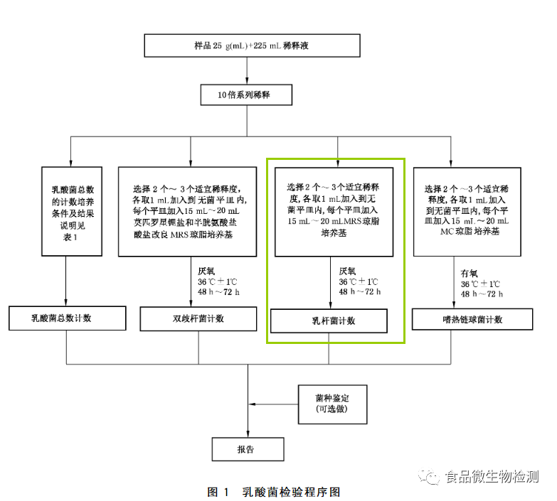 乳酸菌檢驗(yàn)程序