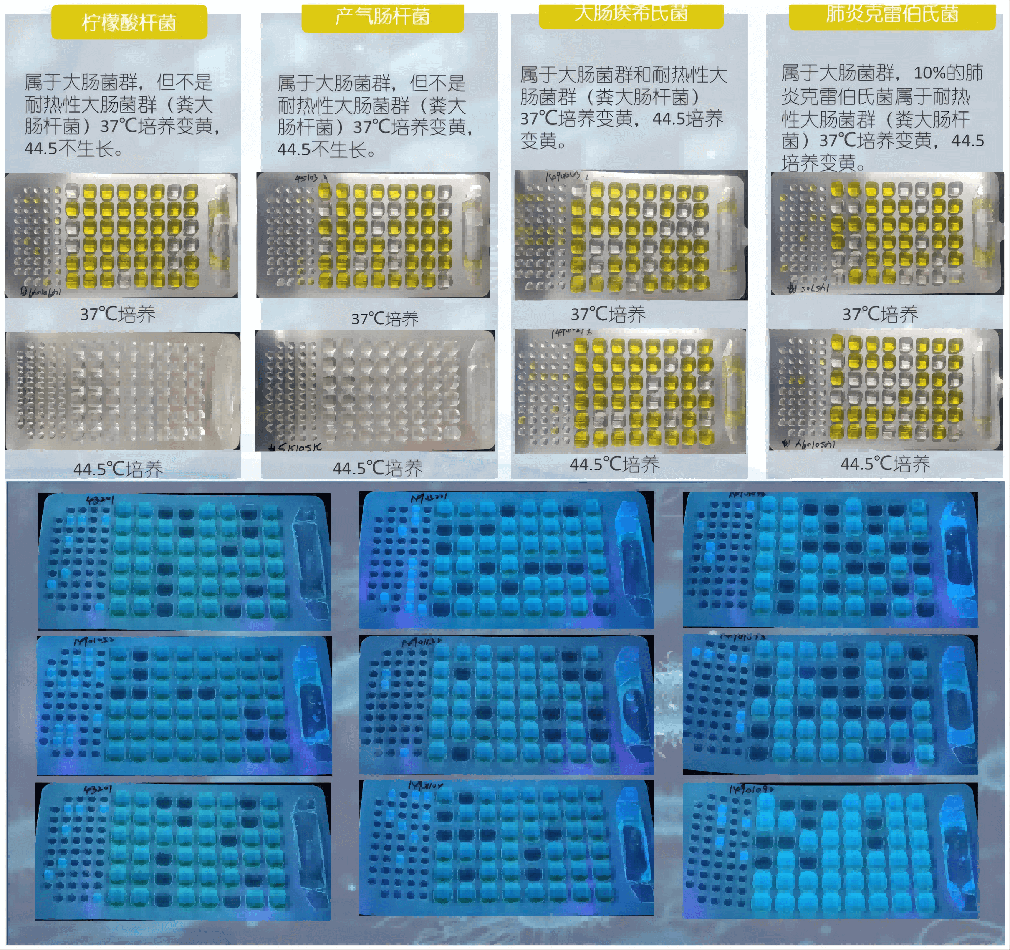 程控定量封口機結果判讀